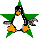 Penguin with a Star